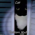 Cat | Cat; Bottom text | image tagged in 3,cats,cat,upvote,please,idk what to put here | made w/ Imgflip meme maker