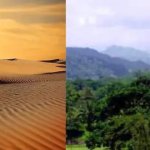 Desert vs nature