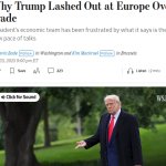 trump moron