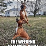 Hang in there | HANG IN THERE; THE WEEKEND IS ALMOST HERE! | image tagged in hang in there | made w/ Imgflip meme maker