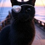 Black pirate cat with eye patch