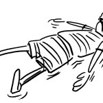 a drawfee goofy