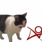 Why cat yelling AO3