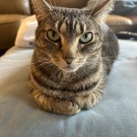 POV ur a loaf of bred