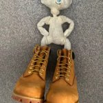 Bear with da timbs meme