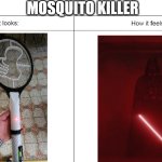Mosquito killer | MOSQUITO KILLER | image tagged in how it looks vs how it feels | made w/ Imgflip meme maker