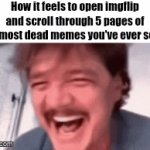 Where are the good memes at???? | How it feels to open imgflip and scroll through 5 pages of the most dead memes you've ever seen: | image tagged in gifs,memes,funny,relatable,imgflip,pedro pascal | made w/ Imgflip video-to-gif maker