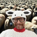 Wolf in Sheeples clothing