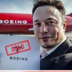 Elon Musk at airplane