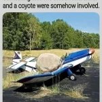 Plane and rock