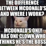 Smudge that darn cat | THE DIFFERENCE BETWEEN MCDONALD'S AND WHERE I WORK? MCDONALD'S ONLY HAS ONE CLOWN WHO THINKS HE'S THE BOSS | image tagged in smudge that darn cat | made w/ Imgflip meme maker