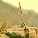 Epic Battle Of The Black vs Red Ants (Conclusion In Comment Section) | image tagged in gifs,epic battle of the ants | made w/ Imgflip video-to-gif maker