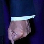 Macron fist