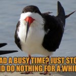 Had a busy time? Stop and do nothing for a while. | HAD A BUSY TIME? JUST STOP AND DO NOTHING FOR A WHILE. | image tagged in relax,downtime | made w/ Imgflip meme maker