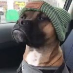 Chrisjoines1