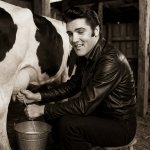 Elvis