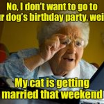 Weirdo | No, I don’t want to go to your dog’s birthday party, weirdo; My cat is getting married that weekend | image tagged in old lady at computer finds the internet | made w/ Imgflip meme maker