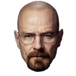 Walt head