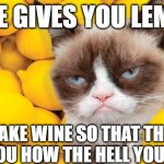make wine guys | IF LIFE GIVES YOU LEMONS, MAKE WINE SO THAT THEY ASK YOU HOW THE HELL YOU DID IT | image tagged in grumpy cat lemons,wine,emotional advice | made w/ Imgflip meme maker