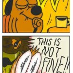 This is not fine