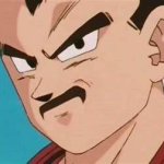 Vegeta señor