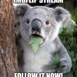 FOLLOW MY STREAM | I MADE AN IMGFLIP STREAM; FOLLOW IT NOW!
STREAM: ZELDA_FANS | image tagged in memes,surprised koala | made w/ Imgflip meme maker