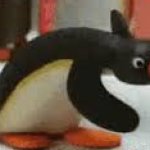 funny penguin