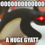 funny penguin | OOOOOOOOOOOOOOOOOOOOOOH; A HUGE GYATT | image tagged in funny penguin | made w/ Imgflip meme maker