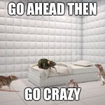 Padded Room with Rats | GO AHEAD THEN; GO CRAZY | image tagged in padded room | made w/ Imgflip meme maker