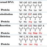 Mutations Therepy