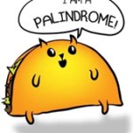 Tacocat
