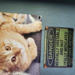 Crazy cat meme
