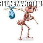 Homeless ant | FIND NEW ANT TOWN | image tagged in homeless ant | made w/ Imgflip meme maker