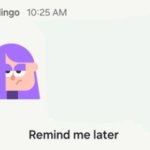Lily reminder notif template