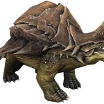 Gigankylocephalus