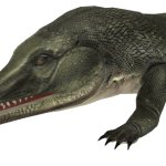 Prionosuchus (JWTG Design)