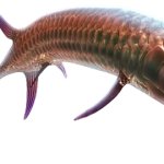 Gillicus (JWTG Design)