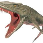 Xinathodon