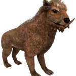 Archaeophicyon