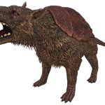 Megistocurus