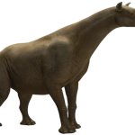 Paraceratherium (JWTG Design)