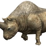 Elasmotherium (JWA Design)