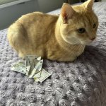 Luigi Money Cat