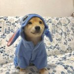 Stitch Dog