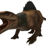 Megalocevia 2