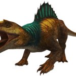 Level 40 Megalocevia
