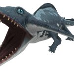 Ophthacerapsis