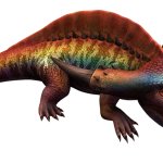 Diplotator (JWA Design)