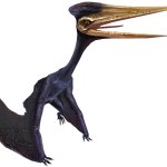 Zhejiangopterus (JWTG Design)
