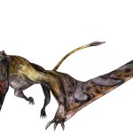 Scaphognathus (JWA Design)